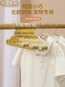 寵物衣架上的泰迪 萌寵時尚穿搭與溫馨家居圖鑒